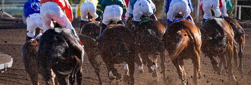 Horse Racing: The Exciting Sport of the Past, Present, and Future - BetPlusWin Betting Tips