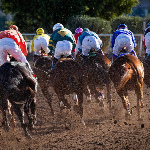 Horse Racing: The Exciting Sport of the Past, Present, and Future - BetPlusWin Betting Tips